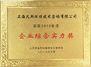 企業(yè)綜合實(shí)力獎